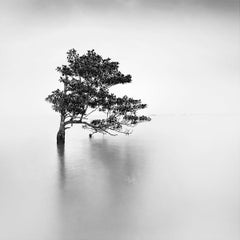 Eternal - ETHEREAL 4 by Alexandre Manuel (Black and white minimalist)