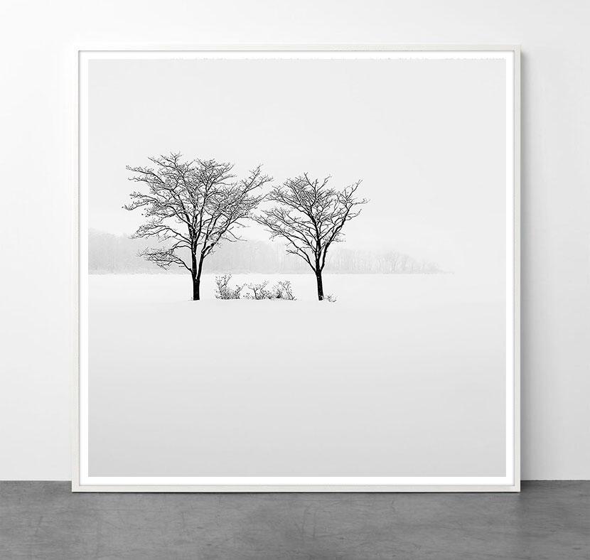 Eternal - FELLOW by Alexandre Manuel (Black and white minimalist) For Sale 1