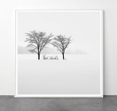 Eternal - FELLOW by Alexandre Manuel (Black and white minimalist)
