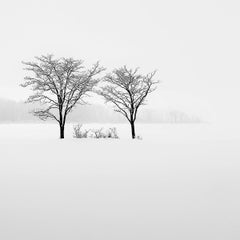 Eternal - FELLOW by Alexandre Manuel (Black and white minimalist)