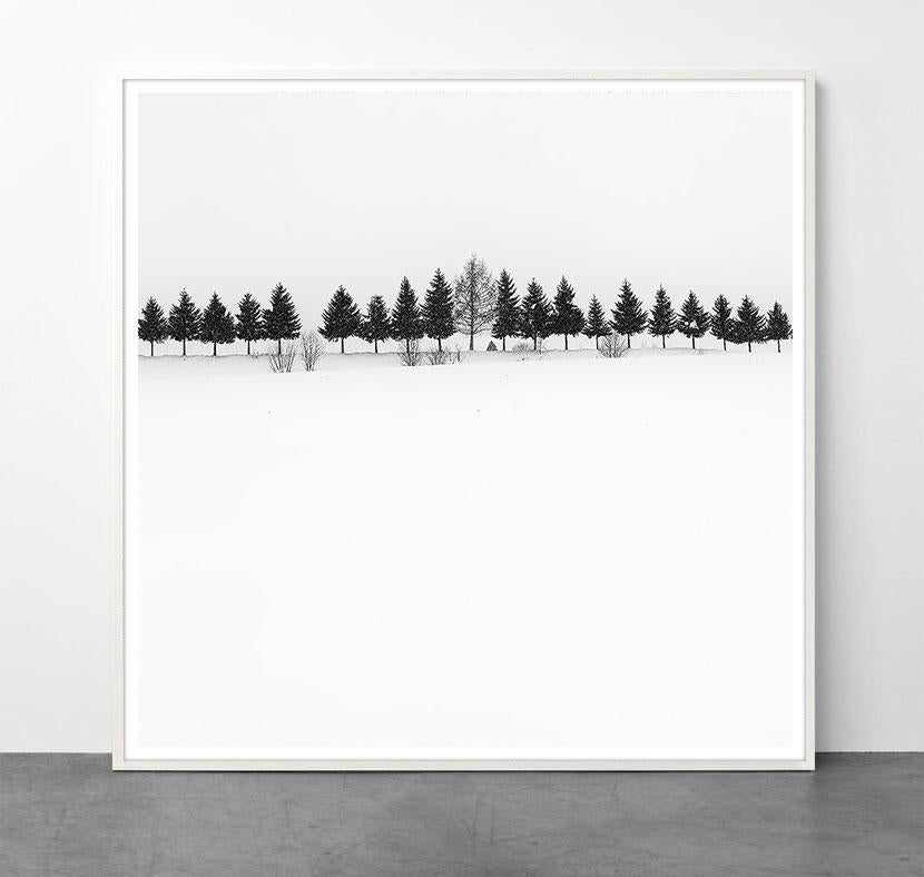 Eternal - HAPPY TREES 1 by Alexandre Manuel (Black and white minimalist) For Sale 1