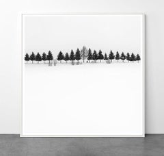 Eternal - HAPPY TREES 1 di Alexandre Manuel (minimalista in bianco e nero)