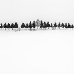 Eternal - HAPPY TREES 1 by Alexandre Manuel (Black and white minimalist)