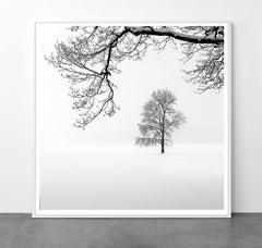 Eternal - KING OF TREES 2 by Alexandre Manuel (Black and white minimalist)