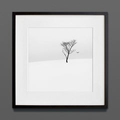 Ethereal I, Eternal, Archival Print, 2022 (20x20in)