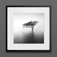 Ethereal II, Eternal, Archival Print, 2022 (20x20in)