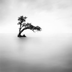 Ethereal II, Eternal, Archival Print, 2022 (20x20in)