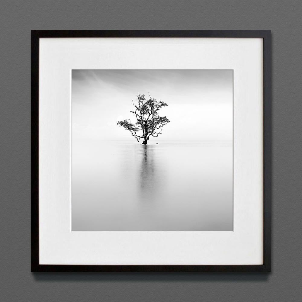 Ethereal III, Eternal, impresión de archivo, 2022 (20x20 pulgadas)