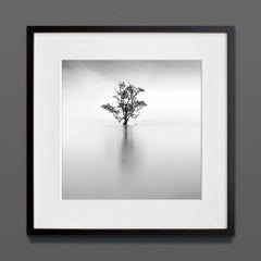 Ethereal III, Eternal, Archival Print, 2022 (20x20in)