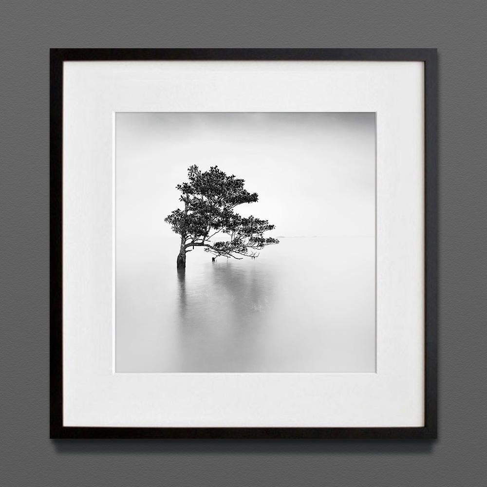 Ethereal IV, Eternal, stampa d'archivio, 2022 (20x20in)