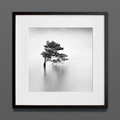 Ethereal IV, Eternal, Archival Print, 2022 (20x20in)