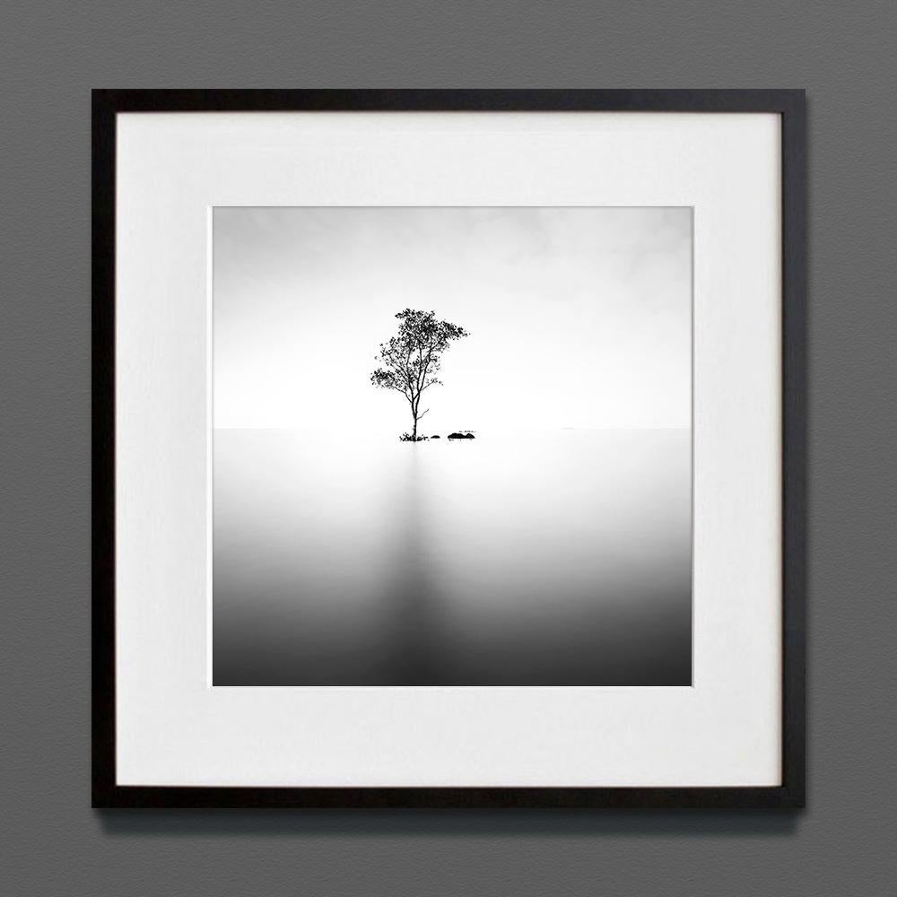 Ethereal V, Eternal, impresión de archivo, 2022 (20x20 pulgadas)