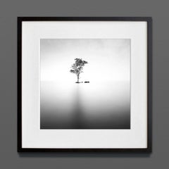 Ethereal V, Eternal, Stampa d'archivio, 2022 (20x20in)