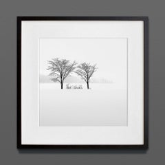 Fellow, Eternal, stampa d'archivio, 2022 (20x20in)