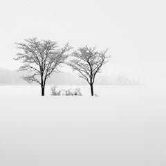 Fellow, Eternal, stampa d'archivio, 2022 (20x20in)