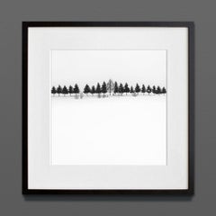 Happy trees, Eternal, stampa d’archivio, 2022 (20x20in)