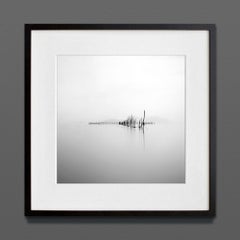Japan II, stampa d'archivio, 2014 (20x20in)