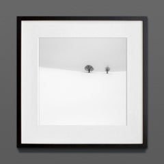 Solo un paio di cose, Eternal, stampa d’archivio, 2022 (20x20in)