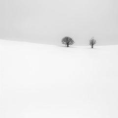 Solo un paio di cose, Eternal, stampa d’archivio, 2022 (20x20in)