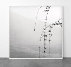 Landscape V, Vietnam