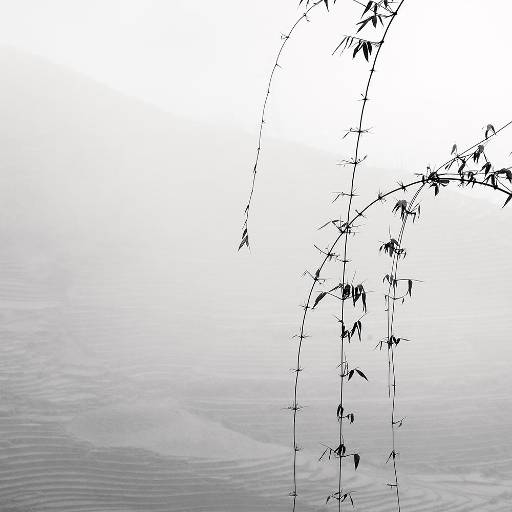 Landscape V, Vietnam