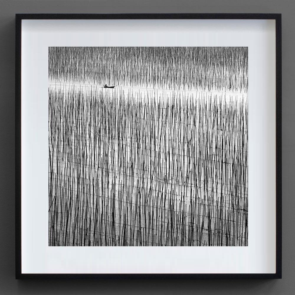 Lost in Abstraction 2, Chine (Photographie N&B)