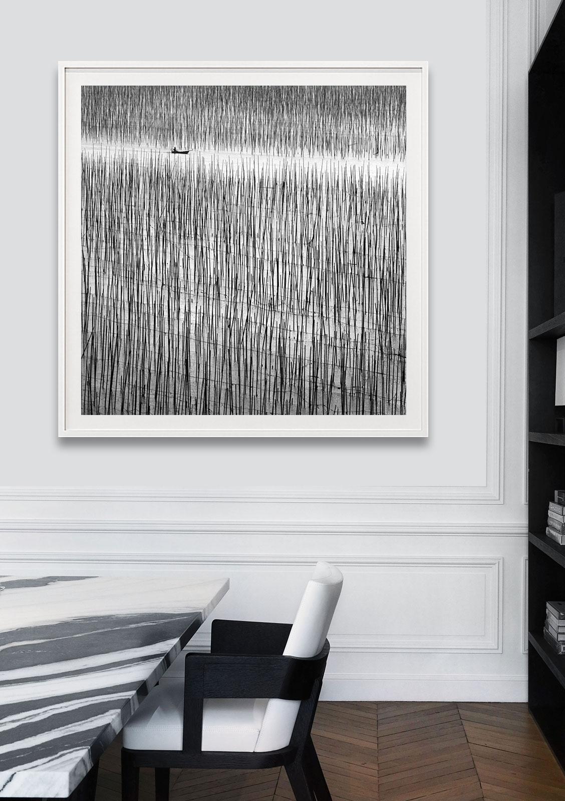 Lost in Abstraction 2, Chine - Contemporain Photograph par Alexandre Manuel