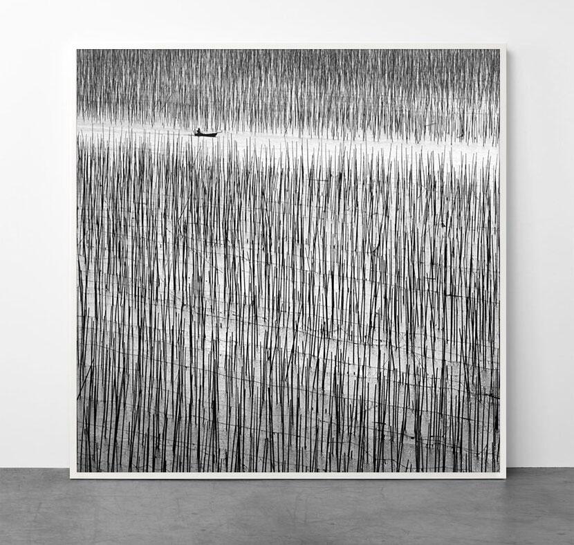 Lost in Abstraction 2, Chine - Gris Black and White Photograph par Alexandre Manuel