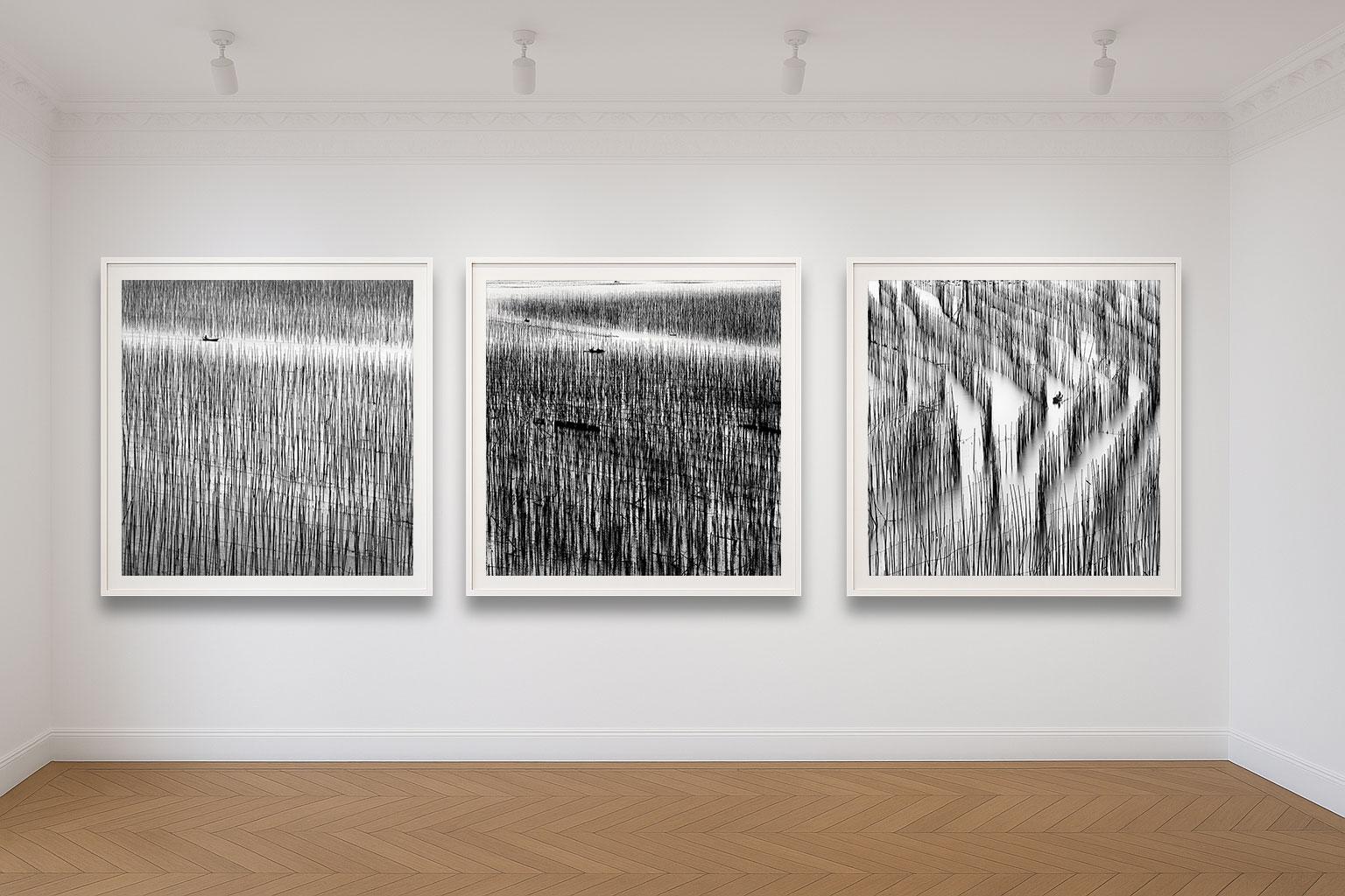 Le travail d'Alexandre Manuel capture des paysages à l'intersection délicate de l'absence et de la présence, où la nature se déploie avec un drame tranquille. Grâce à des techniques raffinées d'exposition longue, chaque image transmet une
