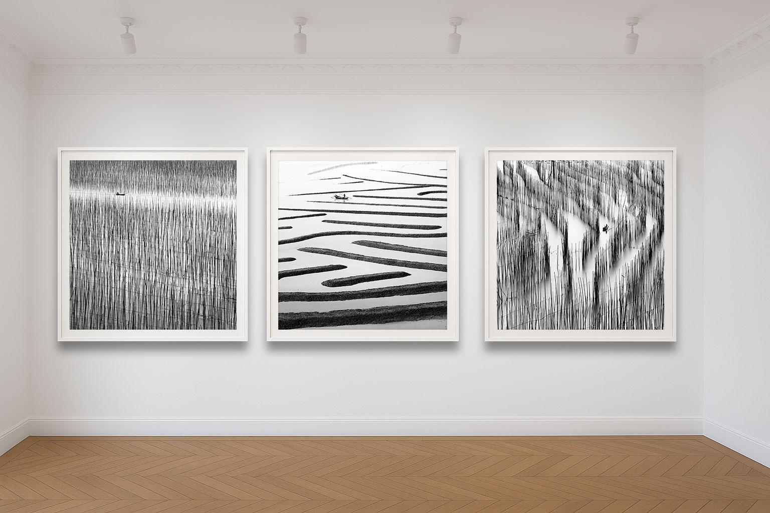 Alexandre Manuel’s work captures landscapes at the delicate intersection of absence and presence, where nature unfolds with quiet drama. Through refined long-exposure techniques, each image conveys a serene temporality, transforming ordinary