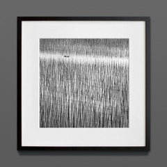 Lost in Abstraction II, Cina, stampa d'archivio, 2017 (20x20in)
