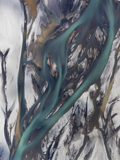 ORGANIC LANDSCAPES 1 par Alexandre Manuel (Photographie aérienne)