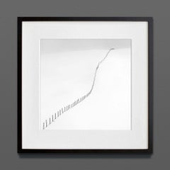 Rhythm of Silence I, Eternal, impresión de archivo, 2022 (20x20 pulgadas)
