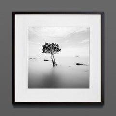 Thailand I, Archivdruck, 2018 (20x20in)