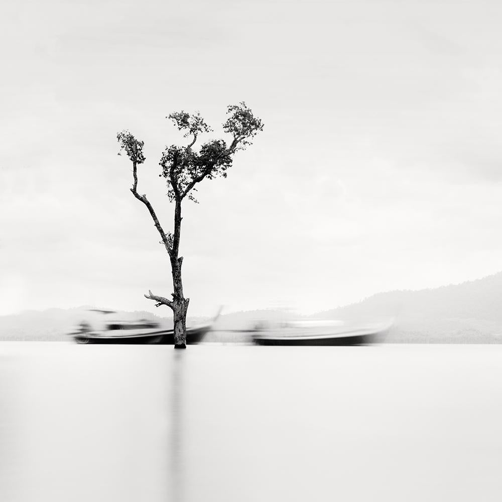 Thaïlande IV, tirage d'archive, 2018 (20x20 pouces)