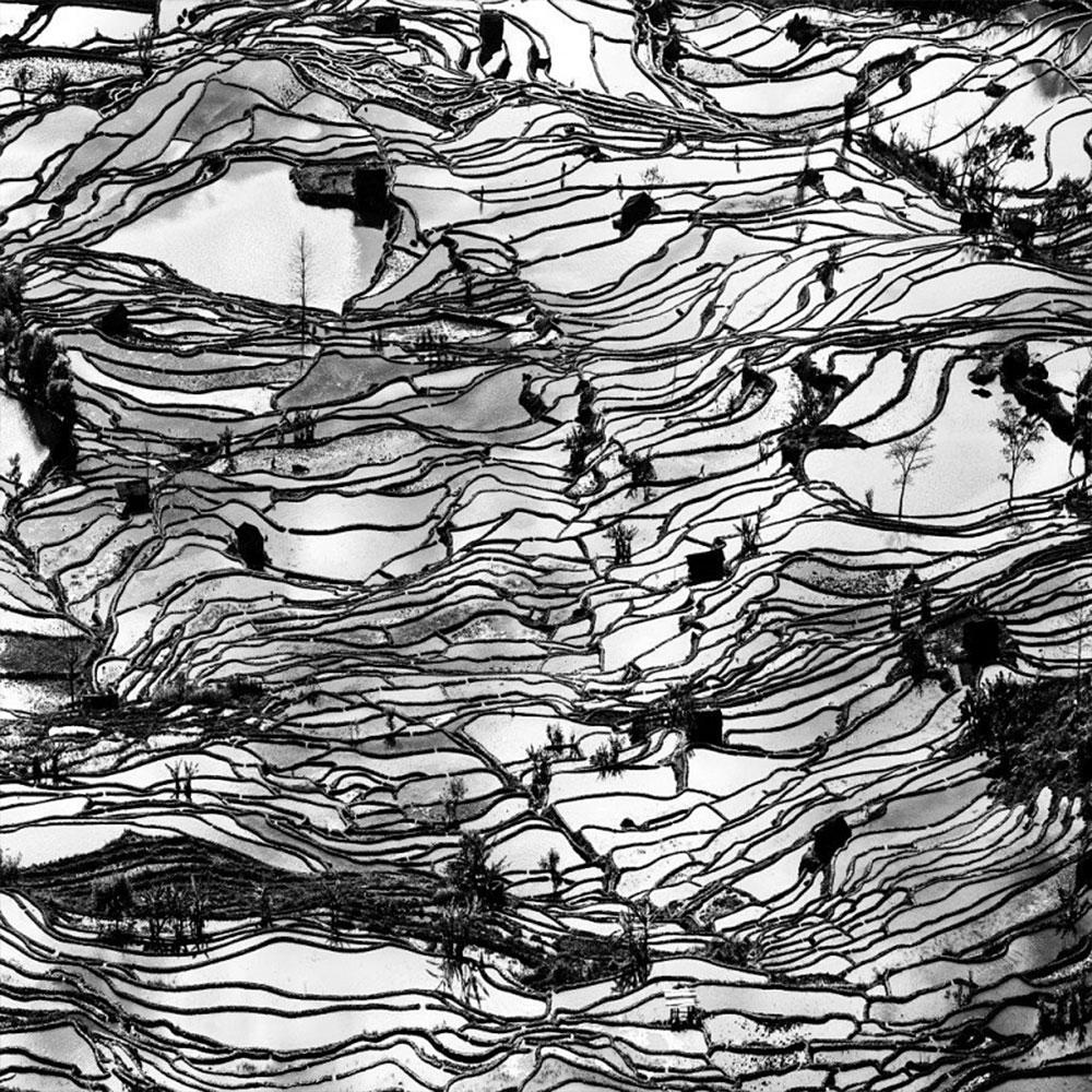 Arte moderna Fotografia