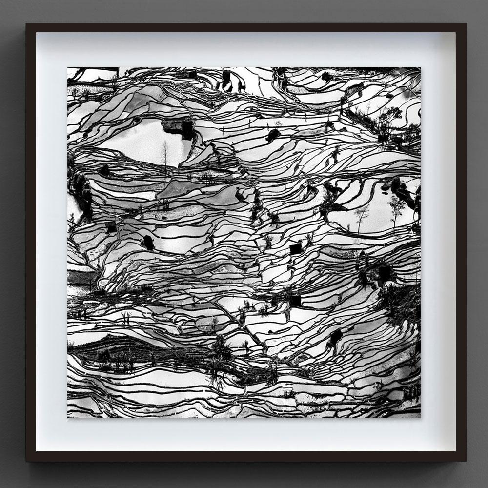 Tiger Maul 1, China – Photograph von Alexandre Manuel