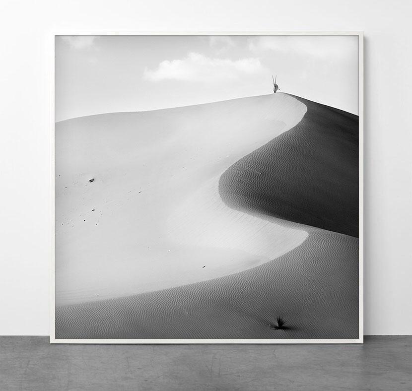 I+I - Photograph de Alexandre Manuel