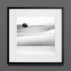 UAE II, stampa d'archivio, 2019 (20x20in)