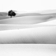 UAE II, Archival Print, 2019 (20x20in)