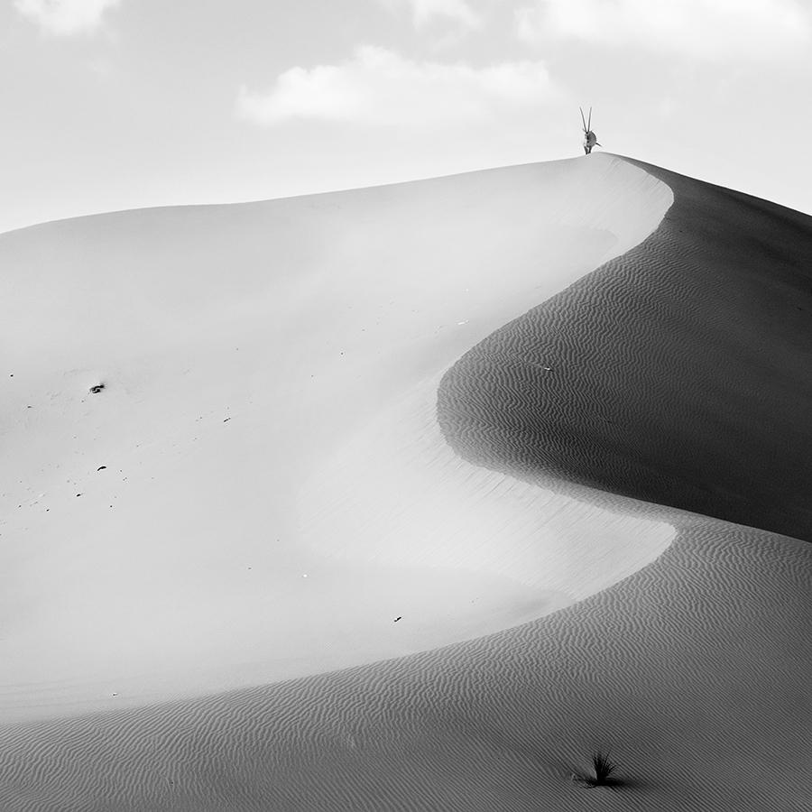 United Arab Emirates I Black and White Landscape Photography, 40x40