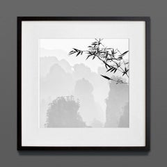 Zhangjiajie 8, China: Lost in Abstraction, Archival Print, 2019 (20x20in)