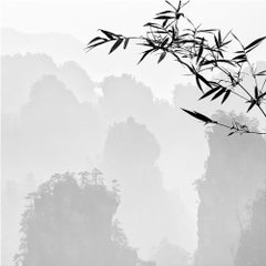 Zhangjiajie 8, China: Lost in Abstraction, Archival Print, 2019 (20x20in)