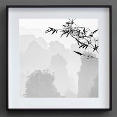 Zhangjiajie 8, China, Verloren in der Abstraktion (Schwarzweißfotografie)