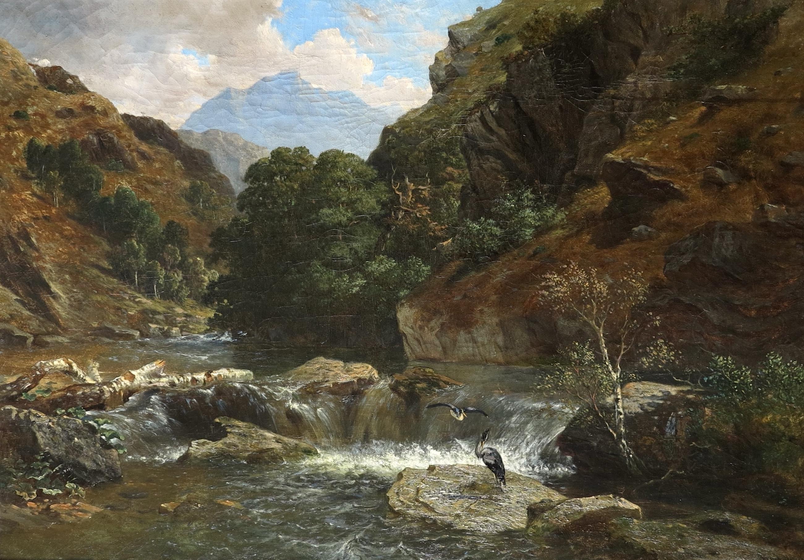 Hérons près d'une cascade, probablement en Écosse - Painting de Alexandre Thomas FRANCIA