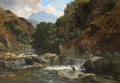 Herons near a waterfall, probably in Scotland