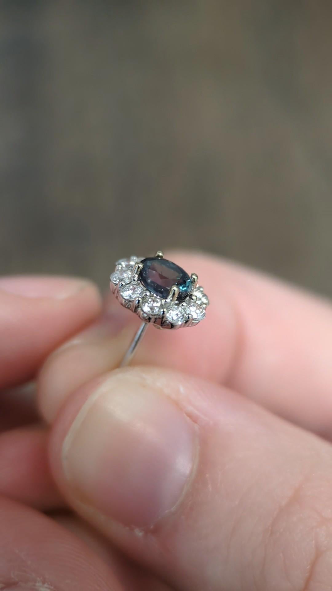 Boucles d'oreilles Alexandrite avec Halo en Diamant Naturel : Or blanc massif 14K  OV 5x4mm en vente 3