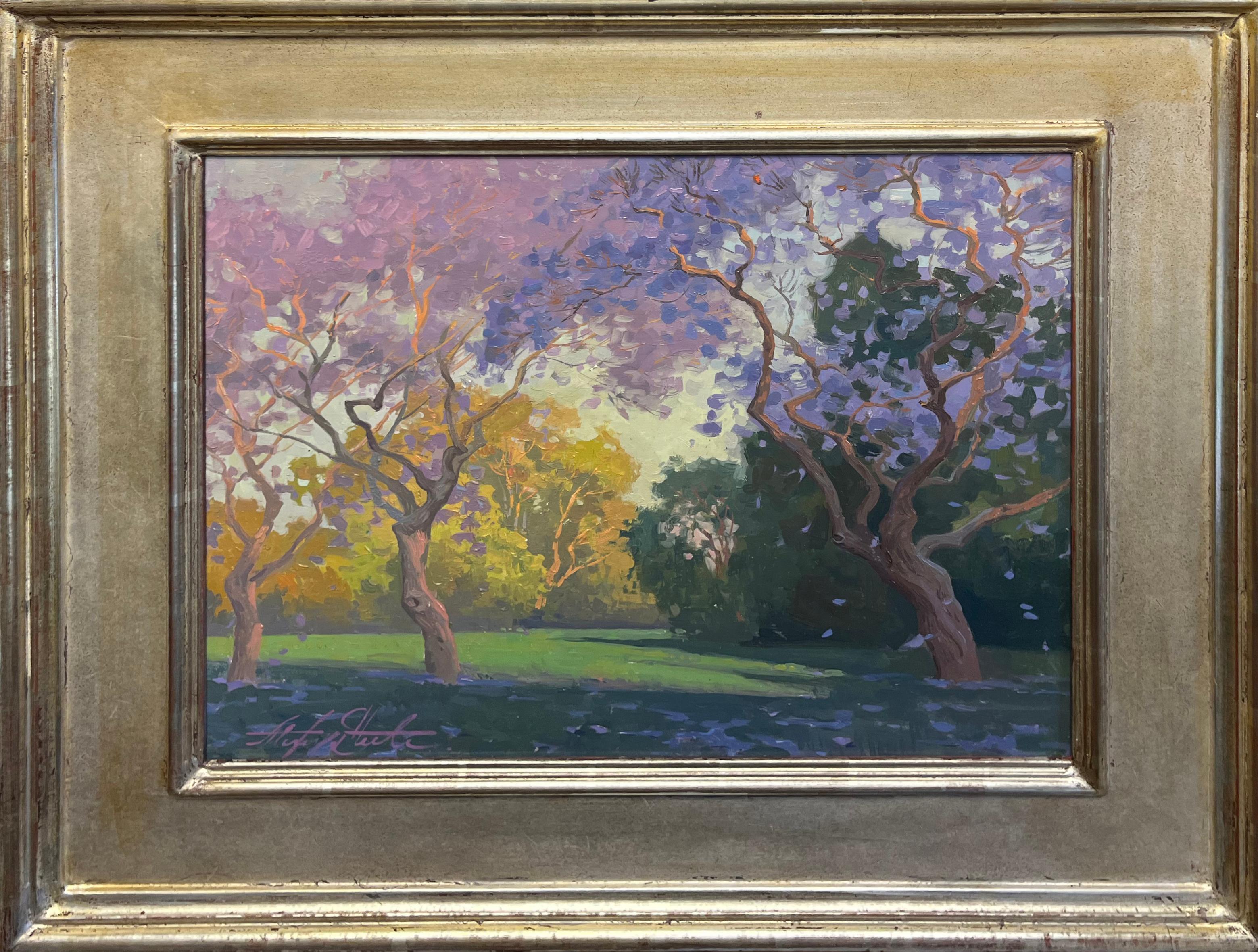 Jacaranda at El Marino Park, Culver City