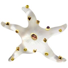 Alexis Bittar Starfish Lucite Brooch/Pin W/ Tourmaline & Citrine