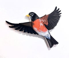 Pettirosso americano